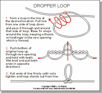 This knot forms a loop anywhere on a line. Hooks or other tackle can then be attached to the loop.