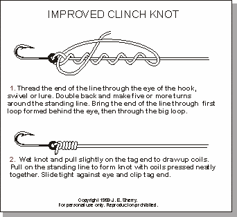The Improved Clinch Knot is has become one of the most popular knots for tying terminal tackle connections. It is quick and easy to tie and is strong and reliable. The knot can be difficult to tie in lines in excess of 30 lb test. Five+ turns around the standing line is generally recommended, four can be used in heavy line. This not is not recommended with braided lines.