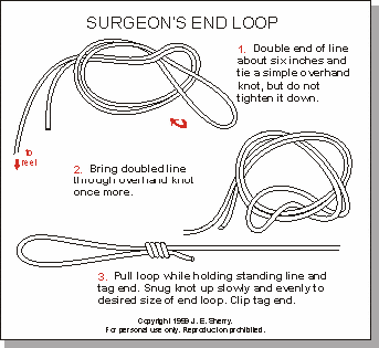 The Surgeon's End Loop forms a loop at the end of a line. This provides a means to quickly attach leaders and other tackle. This end loop is very easy to tie and very reliable, but it is slightly more bulky than the Perfection Loop.